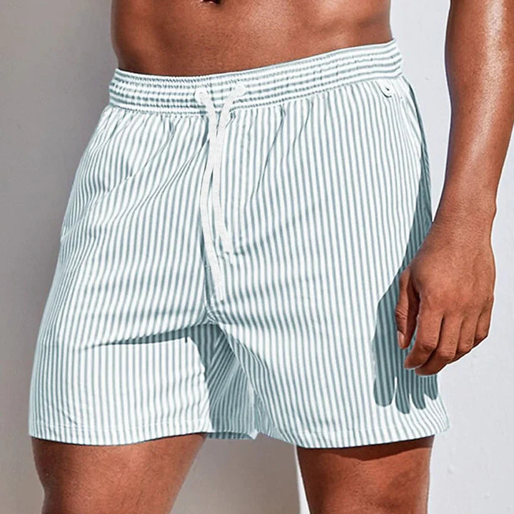 Bruce | Striped Quick-Dry Swim Shorts