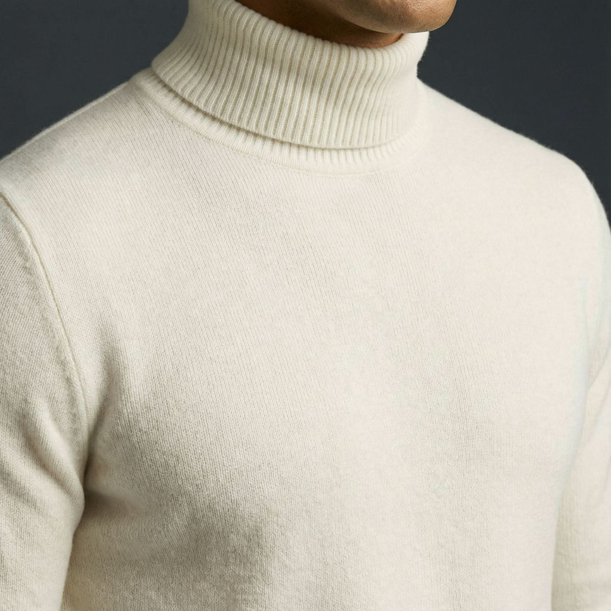 Daniel | Merino Turtleneck