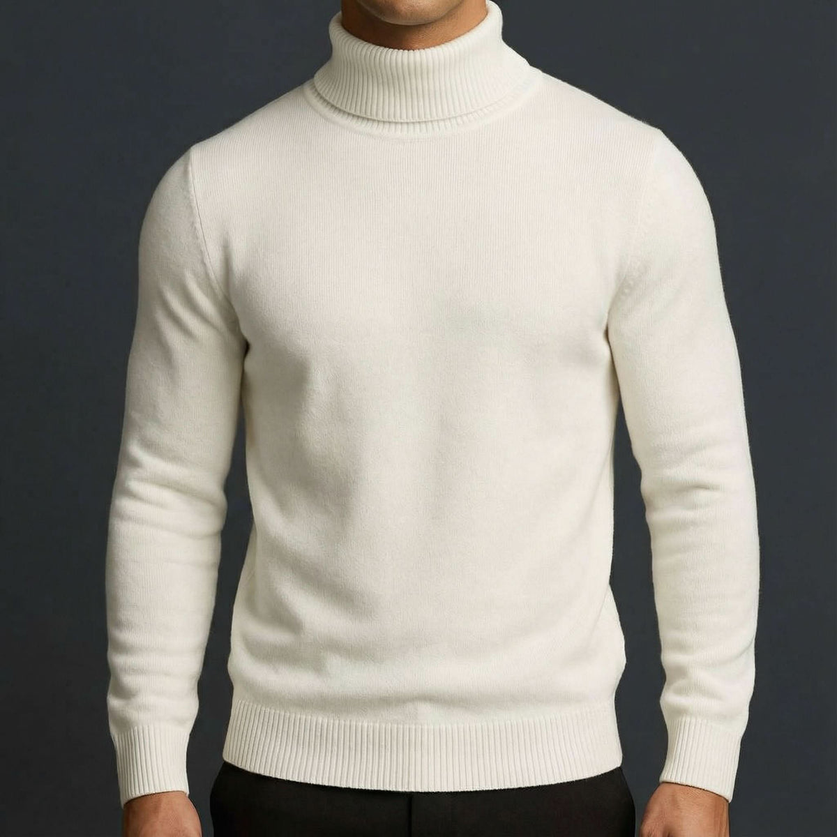 Daniel merino turtleneck - front view
