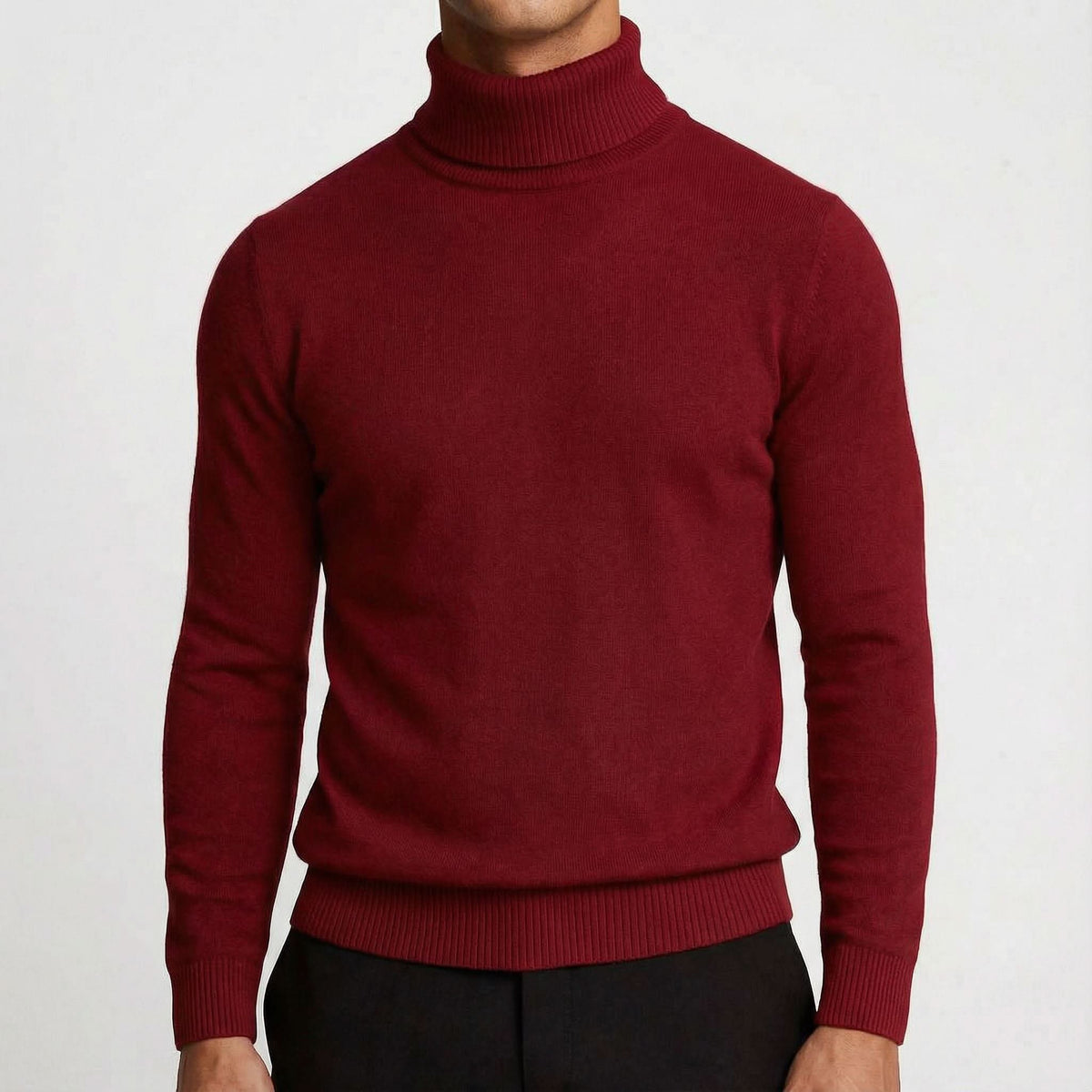 Daniel merino turtleneck - full look